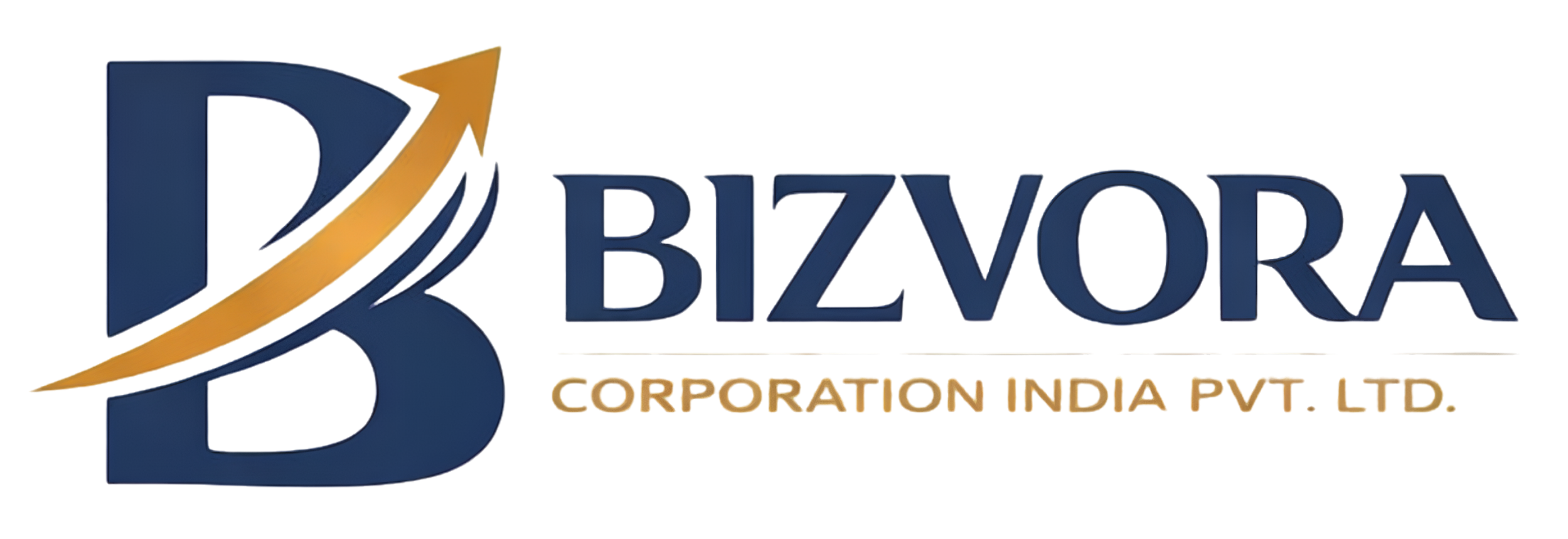 bizvoraindia.com